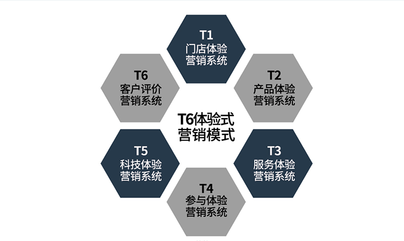 T6体验式营销模式